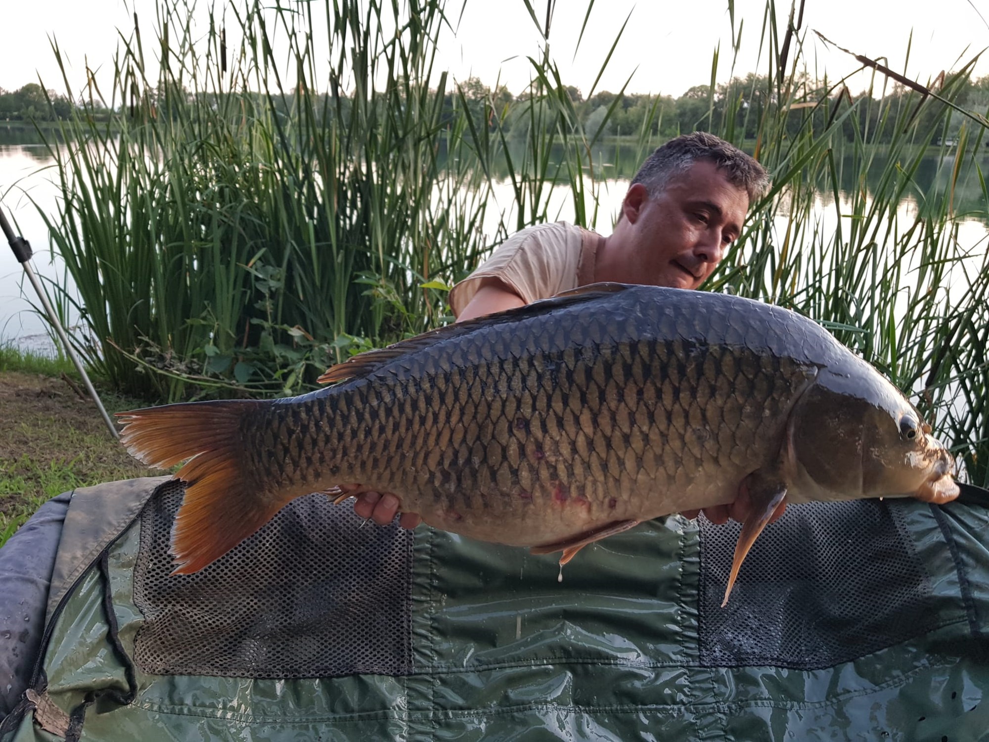 ISOLA DEL PESCATORE 23 - 24 iunie 2020 - IMG20200623WA0056.jpg